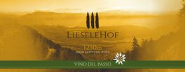 Vino Del Passo