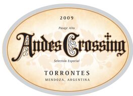 Andes Crossing