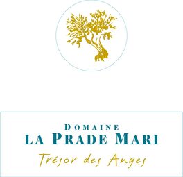 Trésor Des Anges