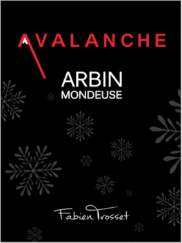 Avalanche