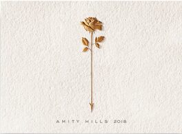 Amity Hills