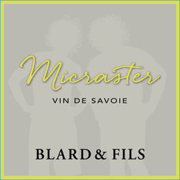 Micraster