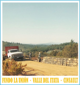 Fundo La Union