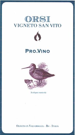Pro.Vino