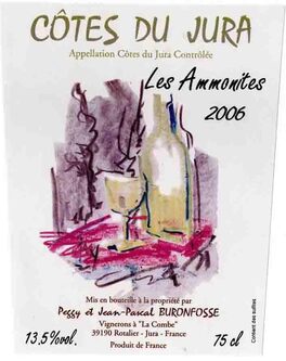 Les Ammonites