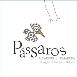 Pássaros