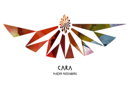 Cara