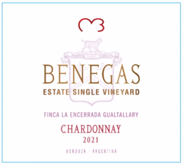 Chardonnay