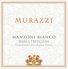 Murazzi