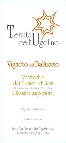 Vigneto del Balluccio