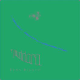 A Puddara