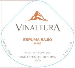 Espuma Bajio Rose