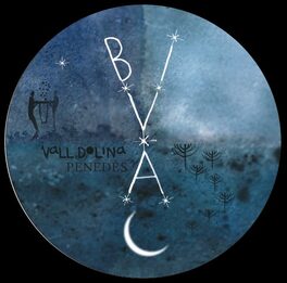 Bivac