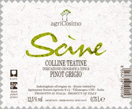 Scine