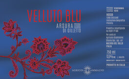 Arsura Di Gilletto Velluto Blu