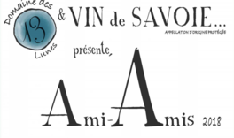 Ami-Amis