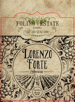 Lorenzo Forte