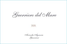 Guerriero Del Mare