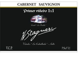 Primer Viñedo 1x1