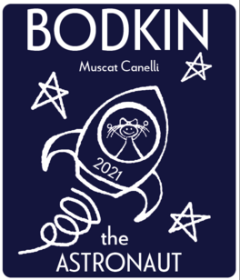 The Astronaut