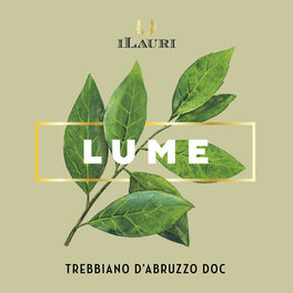 Lume