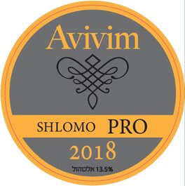 Shlomo Pro
