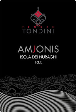 Amjonis