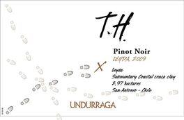 Undurraga
