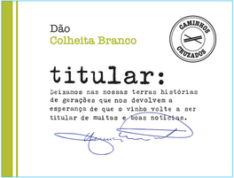 Dão Colheita Branco