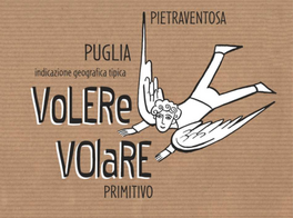Volere Volare
