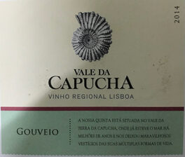 Gouvejo