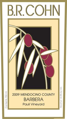 Pauli Vineyard