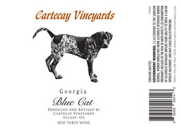 Blue Cat
