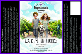 Walk In The Clouds