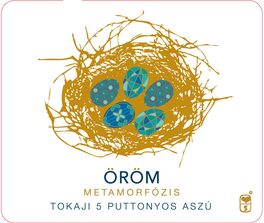 Orom Metamorfozis