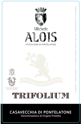 Trifolium
