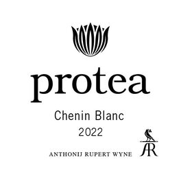 Protea