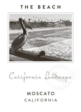 The Beach 187