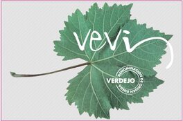 Vevi