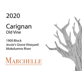 Old Vine 1900 Block Jessie's Grove Vineyard