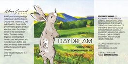 Daydream