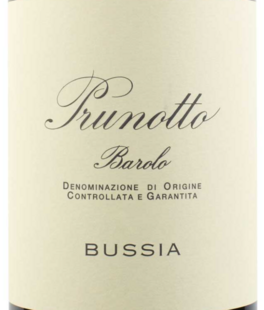 Bussia