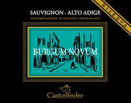 Burgum Novum