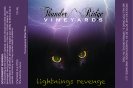 Lightnings Revenge