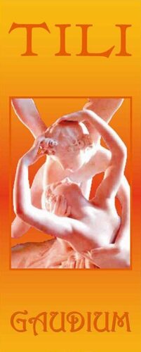 Gaudium