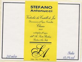 Stefano Antonucci