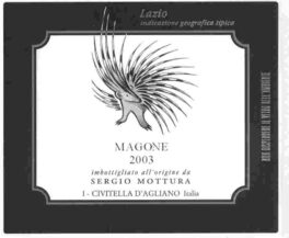 Magone