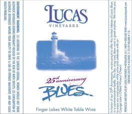 25th Anniversary Blues