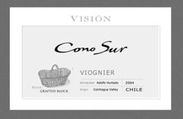 Vision