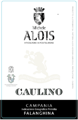 Caulino
